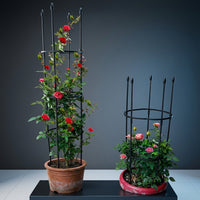 Garden Decor Cylindrical Garden Trellis for Climbing Plants, Durable Plant Support for Potted Plants, Tall 160cm Garden Obelisk, Pack of 1