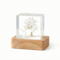 Whimsical Resin Night Light Warm Resin Cube Light Compact Lamp with Wooden Base Dreamy for Bedroom