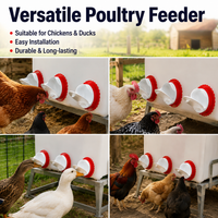 Automatic Chicken Feeder, Poultry Feed Dispenser for Smallholding & Hobby Farmers, Chick Feeder, Outdoor Animal Feed