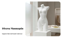 Realistic Proportions Lingerie Display Form Long-Lasting Underwear Mannequin Polished Finish Underwear Display Bust Lightweight for Visual Merchandisers, Fashion Designers, Window Displays, Retail Shop S, Boutiques, Trade Display S