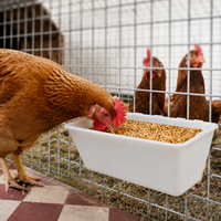 Barn Feed Trough Plastic Feeder Set of 3 Poultry Pig Automatic Feeder