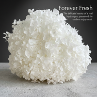 Preserved Dried Hydrangea Home Decor, Large Flower Head Hydrangea Flower, Hydrangea Flower Petals UK, Wedding Preserved Hydrangea Centerpiece