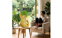 Guitar Body with Pre-Carved Cavities Double-Curved Indentation Guitar Body with Control Cavities Replacement for Luthier