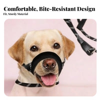 Long-Lasting 2-in-1 Leash and Muzzle Multifunctional No Pull Head Collar Easy to Use for Outdoor, Night Walks, Public Areas