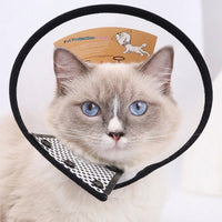 Pet Cone Recovery, Clear Elizabethan Neck Cone with fasteners to Prevent Biting and Licking, Pet Recovery for Small Dogs After Surgery