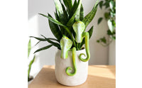 Pot Huggers with Reptilian Pattern Decorative Plant Pot Huggers Playful Hanging Basket Ornament for Interior Stylists