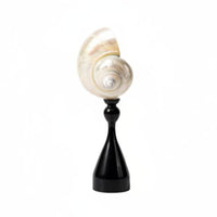 Decorative Sculpture French Vintage Coastal Mollusk Ornament Minimalist Black Stand Modern Shell Statue for Shelf