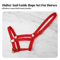 Double Ply Horse Headcollar Additional Thick Horse Leading Halter Equestrian Supplies Reinforced Long-Lasting for Training