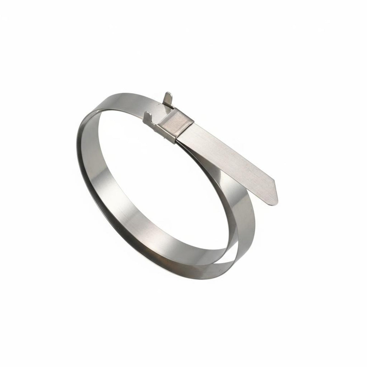 100 Pieces Stainless Steel Cord Tie Rust-Resistant Stainless Steel Zip Tie Angled Buckle Metal Strap