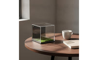 Transparent Acrylic Display Cube with Grass Base Dust-Resistant Display Box with Panel Lightweight Showcase Modern for Hobbyists