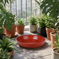 Plant Saucers and Round Tray Set, Drip Tray with Drainage Grooves, Plant Trays for Indoor Plant Saucer and Outdoor Plants Floor