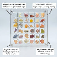 36 Compartment Storage Box, Transparent Organizer, Rock Display Case for Collectors, Beach Souvenir for Seashells