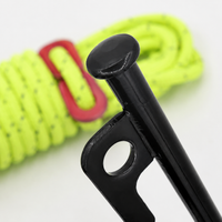 tent stakes and guy lines