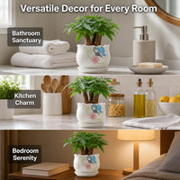 succulent planters