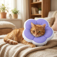 Soft Pet Cone with Adjustable Strap, Cushioned Padded Dog Cone and Cat Cone for Dog Recovery, Stop Licking and Anti Bite Pet Grooming Protection