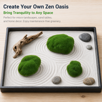 miniature garden decor set