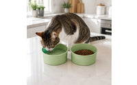 Anti-Tip Double Cat Bowl Set Large Caliber Double Pet Bowl Set Easy to Clean Double Pet Dish Non-Slip for Cats, Small Dogs