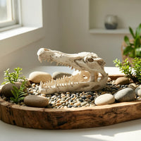 Hand-Painted Crocodile Skull Ornament Compact Aquarium Cave with Hollow Design Realistic Resin Skull Decoration Natural-Looking for Aquatic Pets Keepers, Terrarium