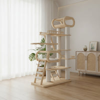 Feline Climber with Viewable Perch Multi-Level Feline Climber with Condo Tall Furniture Cats, Indoor, Living Room, Window