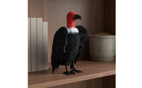 Figurine Educational Toy Realistic Bird Model Plumage Bird Statue for Halloween