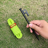 tent stakes and guy lines