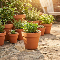 Plant Pots and Flower Pots for Outdoor Plants, Ceramic Pot for Home Office Decor, Terracotta Plant Pots with Normal Process Variations, Clay Pot