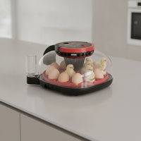 Digital Egg Hatcher Transparent Tabletop Hatcher with Water Cup Compact for Hobbyists, Educators, Home Hatching, Classroom