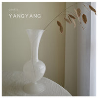 Nordic Style Creative Glass Vase for Living Room Decor and Flower Arrangement