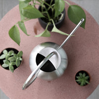 Stainless Steel Watering Can for Indoor Plants & Garden, 1000ML
