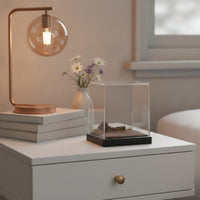 Diorama Base with Acrylic Cover Realistic Model Display Case with Terrain Transparent Miniature Scene Display for Home Decor