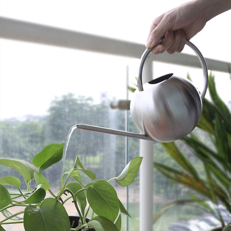 Stainless Steel Watering Can for Indoor Plants & Garden, 1000ML