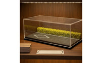 1:64 Car Display Box Dustproof Miniature Showcase Collectible Storage for Collectors