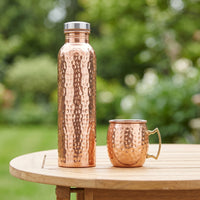 Vacuum Insulated Bottle with Cup Double-Walled Insulated Water Bottle for Travel
