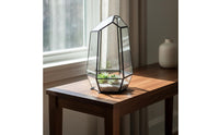 Geometric Glass Terrarium Modern Design Glass Terrarium Multi-Functional Plant Holder for Desktop, Windowsill, Wedding Centerpiece