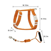 Adjustable Cat Harness and Outdoor Cat Leash Set, Solid Textile H-Harness Style for Training, Cat Walking Harness for Pets Walking and Travel