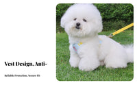 Dog Harness and Leash Set Cute Design Vest Dog Harness Lightweight for Daily Use, Outdoor, Training