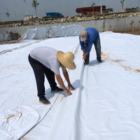 HDPE Geomembrane Sheet, Black, Penetration Prevention, Waterproof Sheet, For Reservoirs, Aquaculture Ponds, Artificial Lakes, Swimming Pools