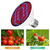 E27 LED Full Spectrum Grow Light Bulb for Indoor Plants Seedling Succulents