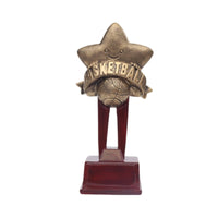 Star Trophy Decorative Award Trophy Display Ready Ornament for Students, Athletes