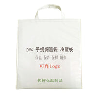 Insulated Cooler Bag PVC Handheld Ice Pack for Medical Products Transport and Food Preservation