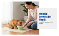 Ceramic Cat Bowl, Elevated Pet Dish, High Base, Neck Protection, Anti-Chin Stain, Cute Fruit Design