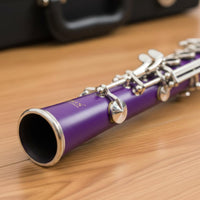 Nickel-Plated Keys Bb Clarinet Easy to Play ABS Clarinet Portable Carrying Case Wide Range of Tones for Beginners, Kids, Adults