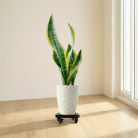 Rolling Plant Stand Indoor Plant Stand with Wheels Outdoor for Gardeners