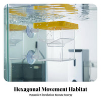 Buoyant Aquatic Creature Breeder Box Good Water Flow Buoyant Aquatic Creature Separation Box Fry Separation Hatchery Easy To
