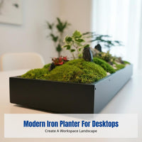 Stainless Steel Flower Trough, Iron Desktop Planter, Rectangular Moss Tray, Indoor Landscape Decor