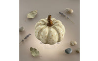 Light-Toned Ceramic Pumpkin Ornament Brown Stem Ceramic Pumpkin Figurine Smooth Finish Home decorations
