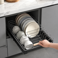 Stainless Steel Extendable Dish Over Sink, Rustproof Dish Drainer for Kitchen Counter, Heavy-Duty Cabinet Pull Out
