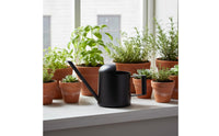 Mini Stainless Steel Watering Pot Lightweight Watering Can Mini Stainless Steel Waterer for Children