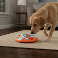 Slow Feeder Bowl Improves Intelligent Canine Puzzle Toy Gift Interactive Food Puzzle for Dogs, Young Dogs, Indoor