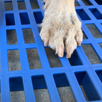 Pet Dog Cage Floor Mat Grid Plastic Pad Rabbit Cage Bottom Net Anti-Bite Foot Pedal